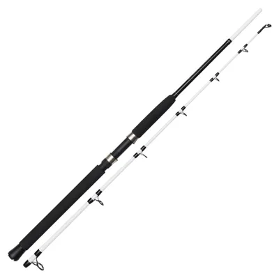 Produktbild von Kinetic Witcher Salt CC 180cm P10 30-50lbs 300-600g - Meeresrute