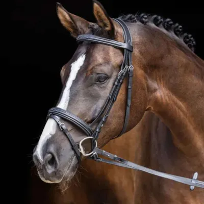 Productafbeelding van Covalliero hoofdstel met verstelbare neusriem, klassiek model, zwart, maat: Full