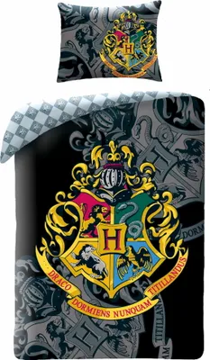 A Harry Potter themed duvet cover and pillowcase set.