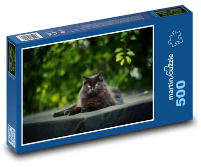 Obrázok produktu pre Puzzle 500 Čierna mačka v prírode - martinpuzzle
