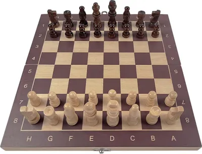Produktbild von Pegasi 3-in-1 Holz-Brettspiel 29,5×29,5 cm – Schach, Dame & Backgammon Set – Klappbares Holzbrett – Für Zuhause, Schule & Freizeit – Inkl. Spielsteine – Für Kinder und Erwachsene