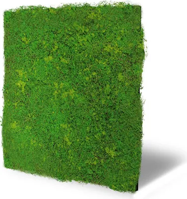 Produktbild von JANGAL Modular Wall Akustik 3D Paneele  520 x 520 mm Light Green Fibre Design Moos Kunst Pflanzenwand Moospaneele