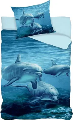 Produktbild von Komplet pościeli Dolphin 2 szt. 135x200 cm 100% bawełna