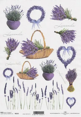 Zdjęcie produktu dla Papier ryżowy do decoupage ITD-R0151 lawenda