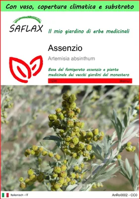Immagine prodotto di SAFLAX Garden to go - Assenzio - 500 semi - Artemisia