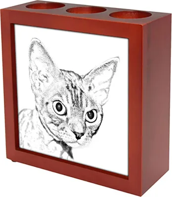 Obrázek produktu pro Art-Dog Stojánek na pera – Devonský rex