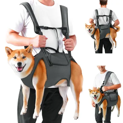 Produktbild von Hundehilfe für große Hunde mit Führungsgriff