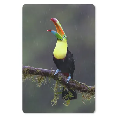 Produktbild von MuchoWow® Mauspad Mousepad Tukan im Regen 18x27 cm - Mousepads - Maus Mat - Pad - Mausunterlage