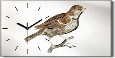 Produktbild von Dekor Leinwand Uhr Wandbilder Geräuschlos 60x30 Zeichnung Tier Vogel Zweig Kunst - schwarze Hände