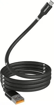 Image de Câble USB Type-C Denmen D11T 2.4A Noir 1m Magnétique