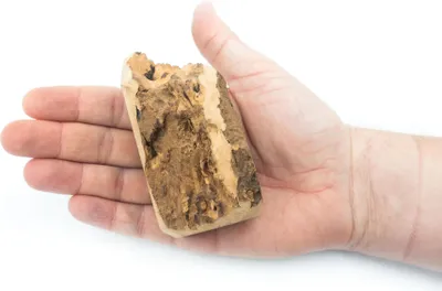 Immagine prodotto di Osso da masticare Briar Root per cani, taglia S