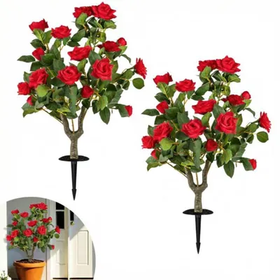 Obrázek produktu pro Sada umělých růžových stromků, 2 kusy 80 cm, červené hedvábné topiarium