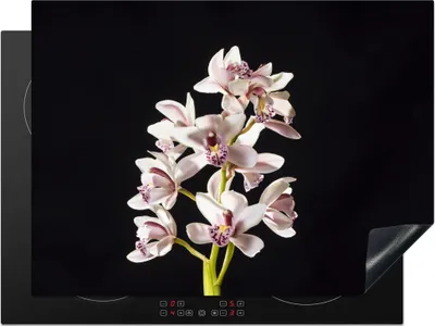Produktbild von KitchenYeah© Herdabdeckplatte Eine weiße Orchidee vor schwarzem Hintergrund , 71x52cm, Küche Deko, Glaskeramikkochfeld Herdabdeckung, Abdeckplatte fùr Kochfeld
