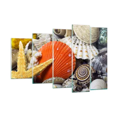 Produktbild von Bilder auf glas - Seashell Meer Strand Sand - 150x100cm - Glasbilder - Wandbilder - Kunstdruck - zum Aufhängen bereit - Wanddekoration aus Glas - Glas Bilder - Wandbild auf Glas - GEG150x100-0456