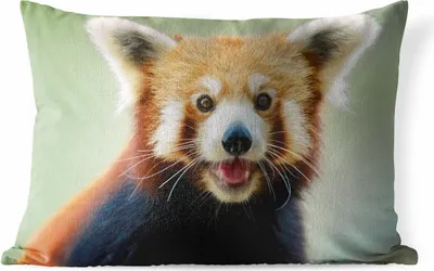 Produktbild von MuchoWow® Outdoor Kissen - Roter Panda - Orange - Schwarz - 50x30 cm - Wetterfest - Lounge Kissen - Sofa kissen - Wohnzimmer Dekoration