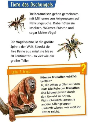 Produktbild von Pixi Wissen 42: Tiere der Welt
