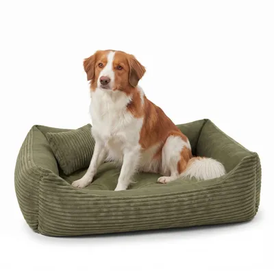Produktbild von 4L Textil MOLLY Hundebett aus Cord mit erhöhtem Rand, abnehmbarer waschbarer Bezug, für mittelgroße Hunde, 100x80 cm, Olivgrün