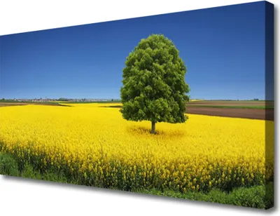 Produktbild von Tulup Leinwand-Bilder 100x50 Wandbild Canvas Kunstdruck Wiese Baum Natur