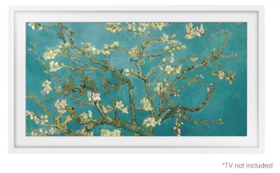 Immagine prodotto di Samsung VG-SCFC32WTB - Cornice per TV - 81,30cm (32") - Moderna - bianca - per Samsung GQ32LS03CBU, QE32LS03CBU, QN32LS03CBF, TQ32LS03CBU (VG-SCFC32WTBXC)