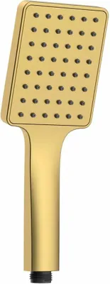 A gold-colored hand shower head with multiple spray nozzles is shown against a white background.