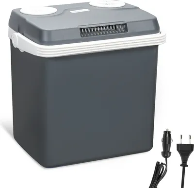 Produktbild von Clanmacy 32L Kuehlbox Mini-Kuehlschrank Thermoelektrische Warmhaltebox Kuehltasche 230V