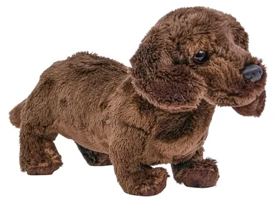 Immagine prodotto di Solidchoice - Peluche a forma di Teckel, 19 cm
