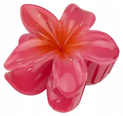 Produktbild von Miss Glow 41560 Große Hawaii-Blumen Haarklammer