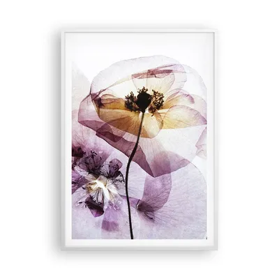Produktbild von Gerahmtes Poster - Weißer Rahmen - blume sommer natur - 70x100 cm - Wand Bild - Wanddeko - Wandbilder - Kunstposter - Wandposter - Bilderrahmen - Bilder - Kunstdruck - Wandbild - P2WPA70x100-3821