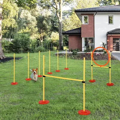 Produktbild von Agility-Hürde 3-in-1 Hürden für Haustiere mit 6 Slalomstangen höhenverstellbar Hürden Sprungreifen und Tragetasche Hunde Agility Set Trainingsset