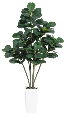 Produktbild von Künstlicher Geigenfeigenbaum - Ficus lyrata Kunstbaum - 180 cm hoch - Mehrstämmig - Naturholzstamm - Weißer Pflanztopf - Grün