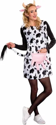 Produktbild von Kuh Kleid und Haarreif 38/40