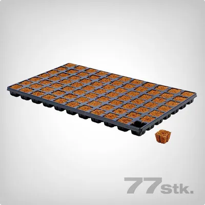 Produktbild von Eazy Plug, Anzuchtmatte, 77 Stk. (eckig)