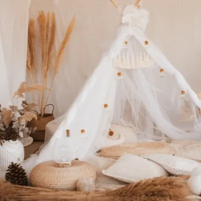 Obrázek produktu pro Okrasná tráva Pampa Cortaderia Selloana velká
