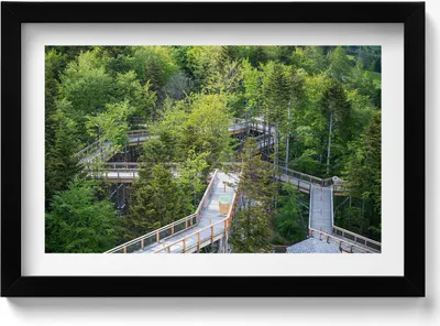 Produktbild von Ein Weg in Krynica Zdrój– Wandbild mit Rahmen – Gerahmtes Bild  – Wanddekoration – 30x20 cm –  Schwarz Rahmen