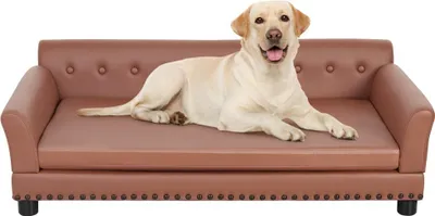A dog is lying on a brown sofa.