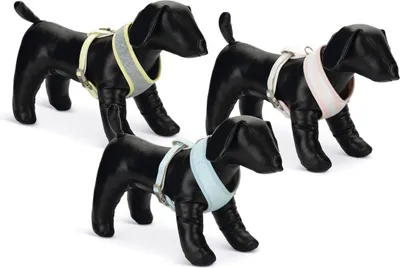 Produktbild von Beeztees Puppy Geschirr, Farbe:grau Bronda, Größe:L