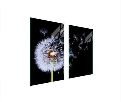 Immagine prodotto di Piastre copri fornelli 2 pezzi 75x52 Copri piano cottura in Vetroceramica tagliere in vetro dente di leone nero