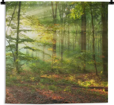 Produktbild von MuchoWow® Wandteppich Wandbehang Sonne - Wald - Bäume - Natur - Herbst 150x150 cm Tapisserie Dekoration Wandtuch - Wohnaccessoires - Modernes