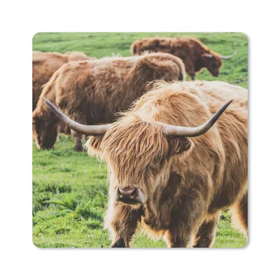 Produktbild von MuchoWow® Mauspad Mousepad Schottischer Highlander - Kühe - Tiere 30x30 cm - Mousepads - Maus Mat - Pad - Mausunterlage - Gaming