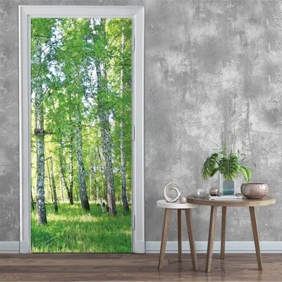 Obrázek produktu pro Samolepicí tapeta na dveře bříza lesní les - 91x211 cm jednodílná - fototapeta na dveře obývací pokoj kuchyně koupelna samolepka na dveře fólie na dveře odolná proti UV záření připravená k montáži