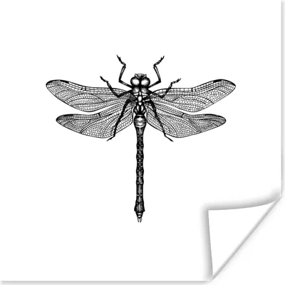 Produktbild von MuchoWow® Poster Libelle - Insekten - Retro - Schwarz und weiß 75x75 cm - Wand Dekoration