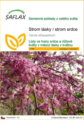 Obrázek produktu pro SAFLAX - Strom lásky / strom srdce - Cercis siliquastrum - 60 Semena