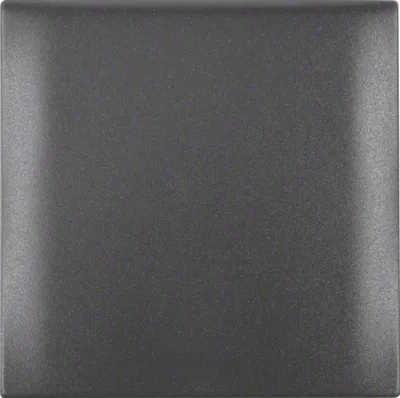 Obrázek produktu pro Berker 918282505, Antracit, Termoplastik, Berker, Matný, Integro Flow, IP20