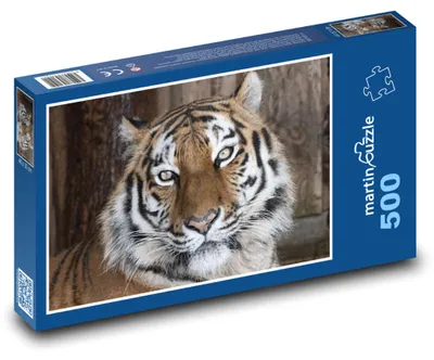 Obrázek produktu pro martinpuzzle - Puzzle 500 - Tygr v zoo