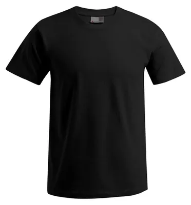 Produktbild von Promodoro - "Premium" T-Shirt für Herren LT3116 (L) (Schwarz)