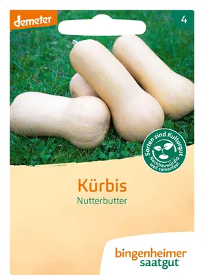 Artikelbild 2 von 'BIO Butternut Kürbis Nutterbutter' aus der Kategorie Butternutkürbissamen