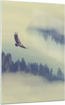 Produktbild von Bilder auf glas - Einteilig - Vogel Natur Wald - 70x100cm - Glasbilder - Wandbilder - Bilder - zum Aufhängen bereit - Wanddekoration aus Glas - Glas Bilder - Wandbild auf Glas - GPA70x100-3853
