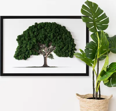 Produktbild von Moosbild mit Konserviertem Moos 3D Wandbild - 60x40 cm - Schwarzer MDF-Rahmen - Baum auf weißem Hintergrund