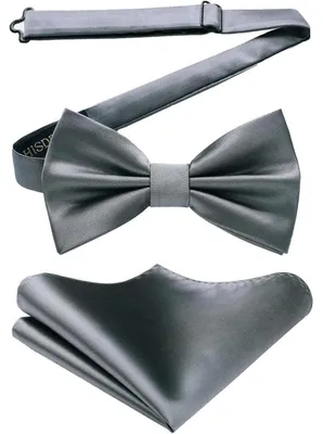 Produktbild von Fliege mit Einstecktuch für Herren, Grau, Verstellbar, Vorgebunden, Polyester-Seide
