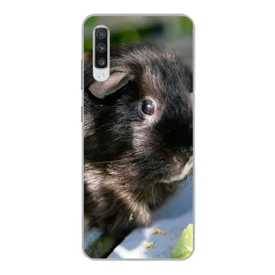 Produktbild von MuchoWow® Handyhülle Schutzhülle Hülle für Samsung Galaxy A70 Meerschweinchen im Garten Silikon Softcase Handy Hülle - Schutzhaube